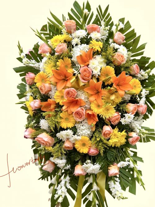 RHSSY-010